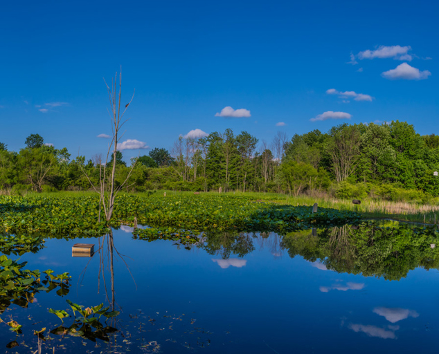 River Road Park Camp, Fish and Hike in Madison, Ohio. Lake Metroparks
